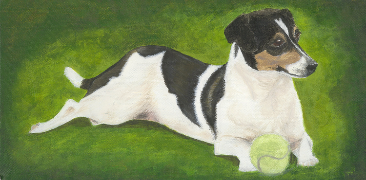 Our wee dog
